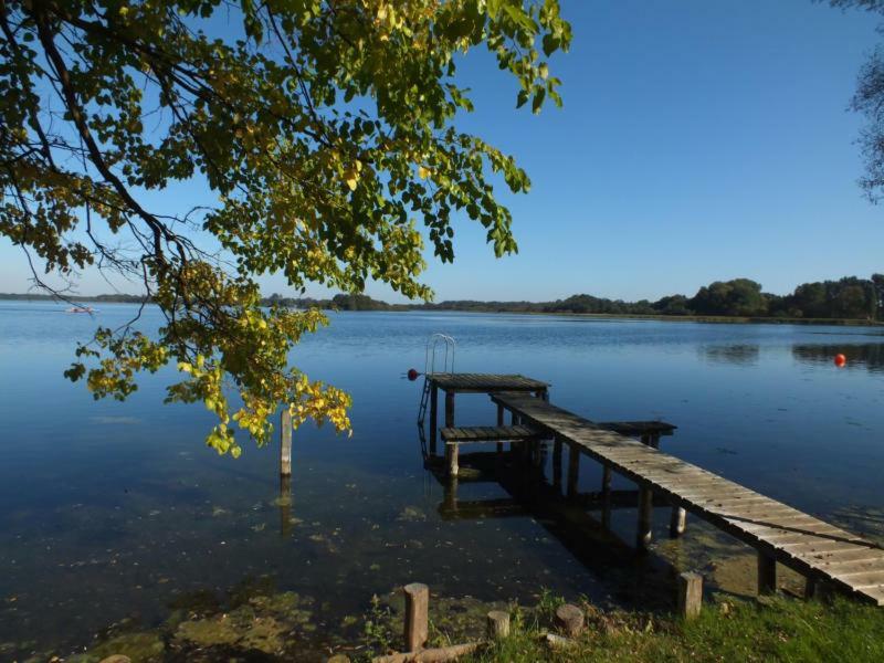 Schaalseeblick Zarrentin am Schaalsee Dış mekan fotoğraf